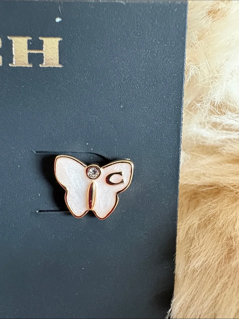 Coach Earrings - Picture 4 of 8